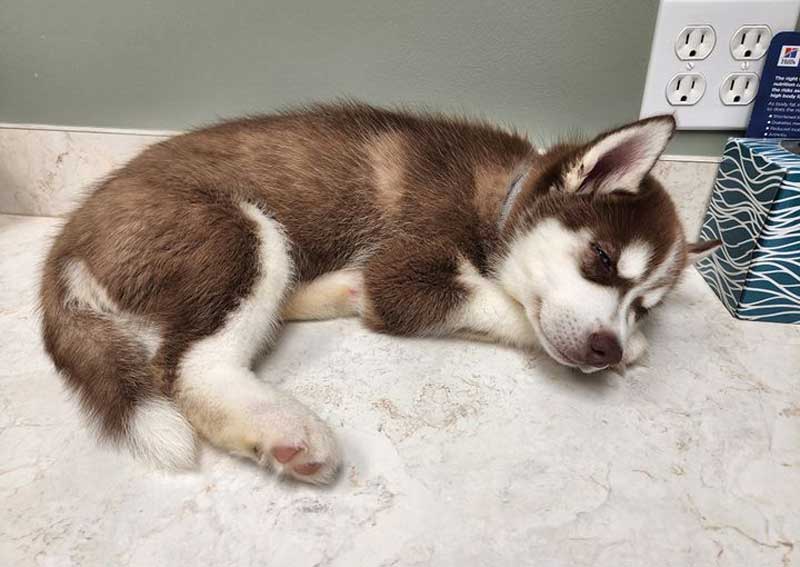 Carousel Slide 4: Join our caring team